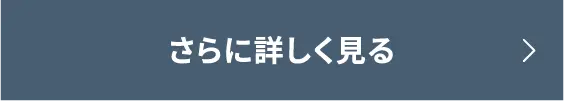 さらに詳しく見る